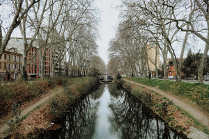 Chirurgien plasticien Toulouse